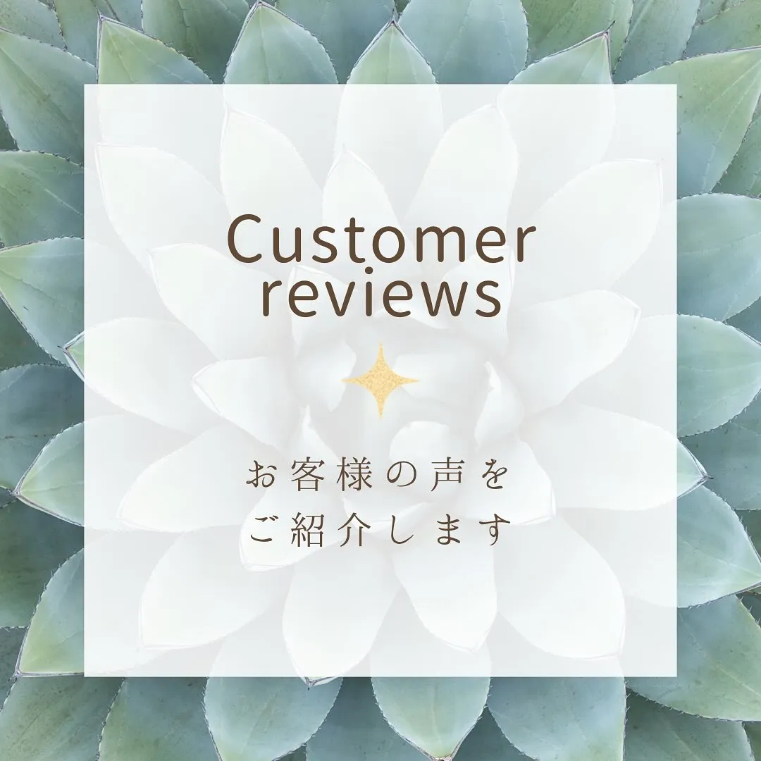 お客様より感想をいただきました