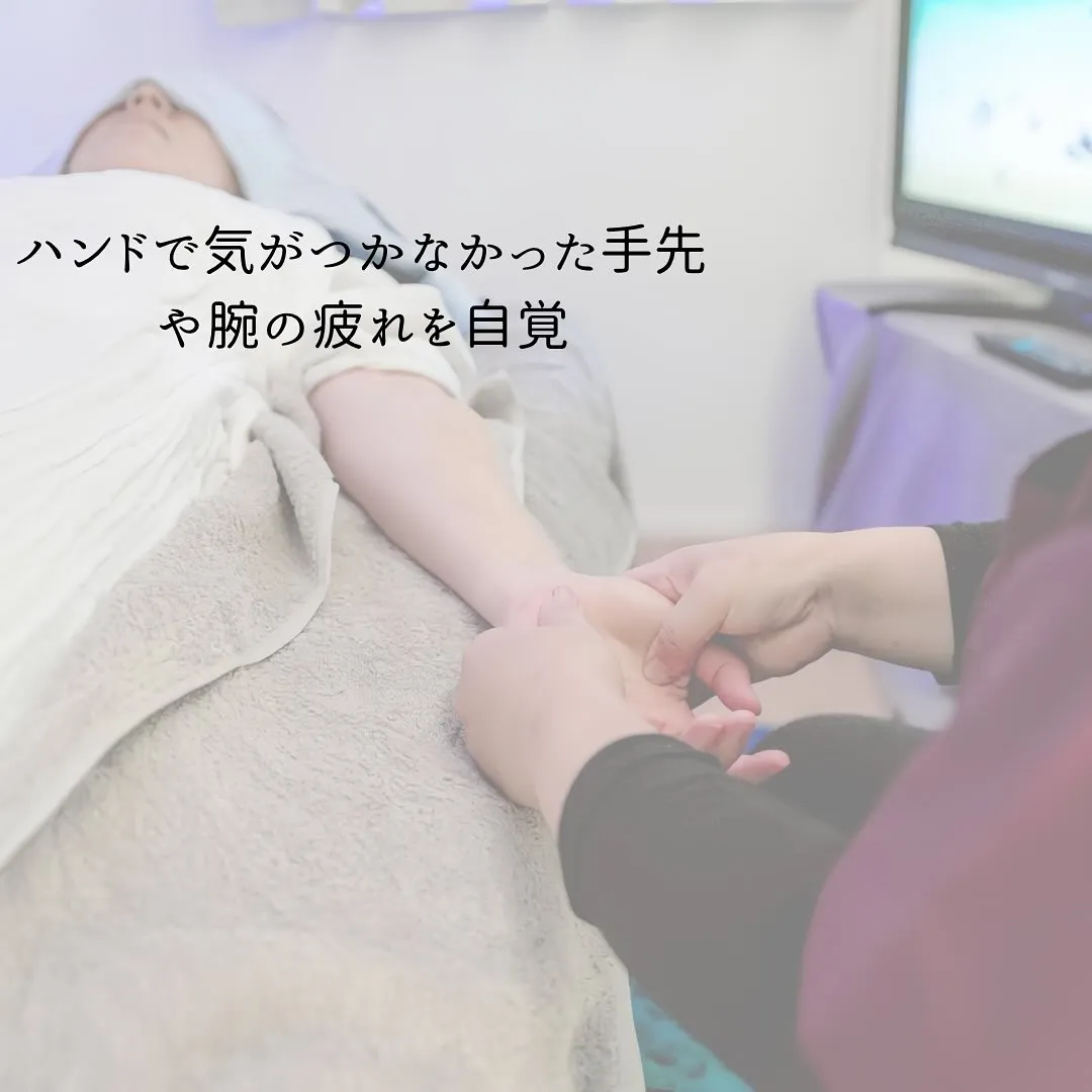 お客様より感想をいただきました
