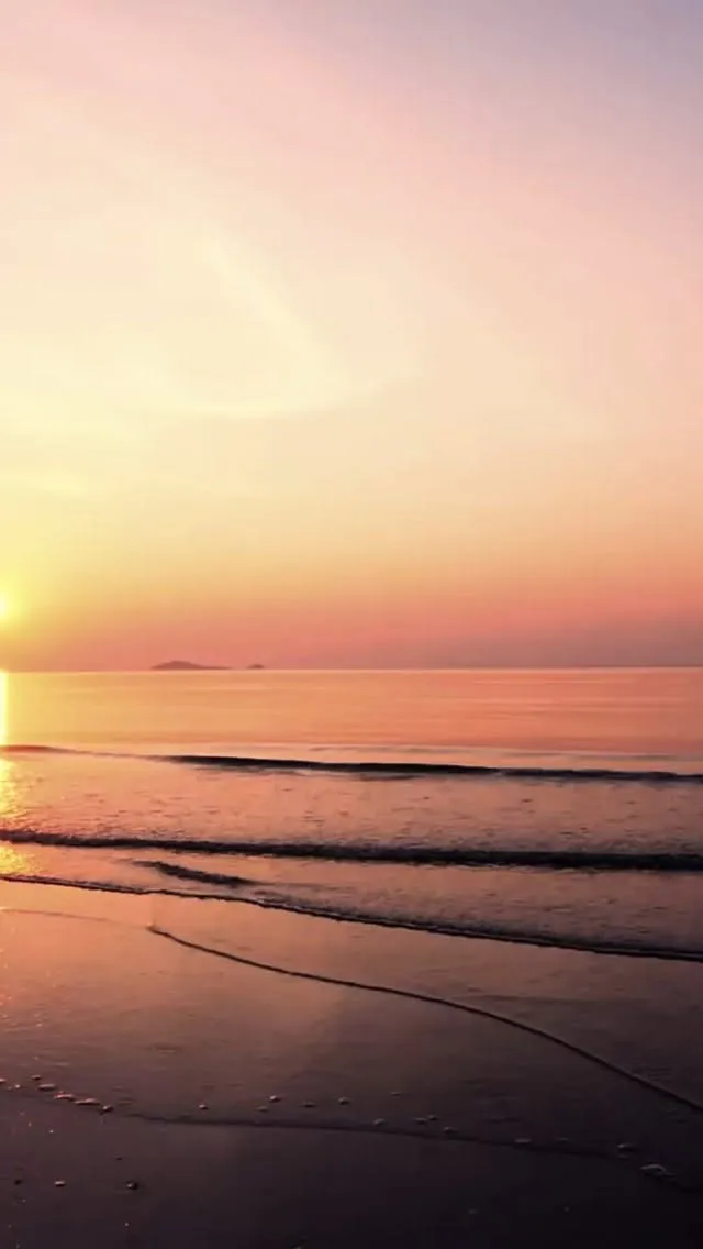 休業期間及び営業日のお知らせ📣